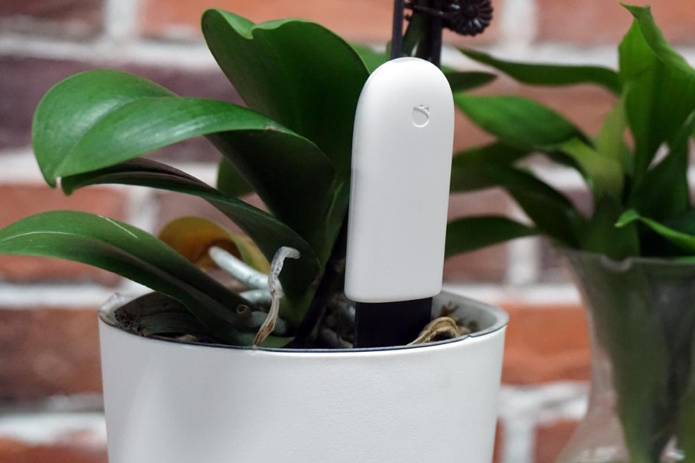 mi flora plant sensor