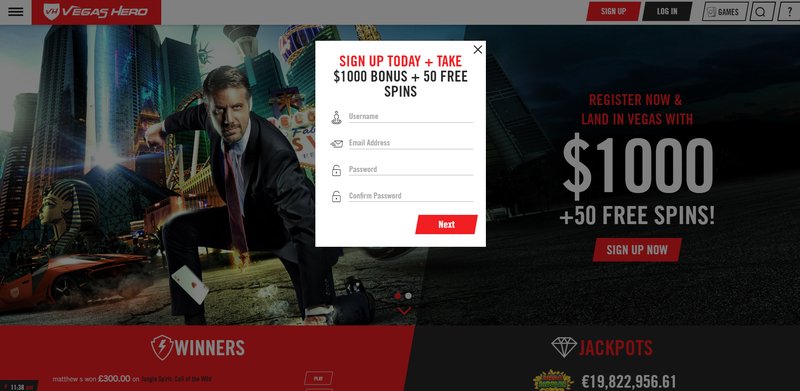 Overview of vegashero casino online